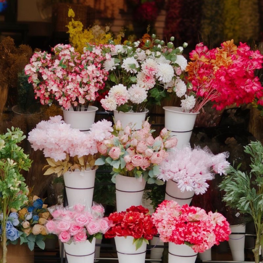 Planten & potwerk bij Bloemenatelier De Zwethkade, Wateringen.